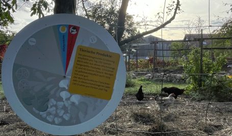 Tiere in der Landwirtschaft